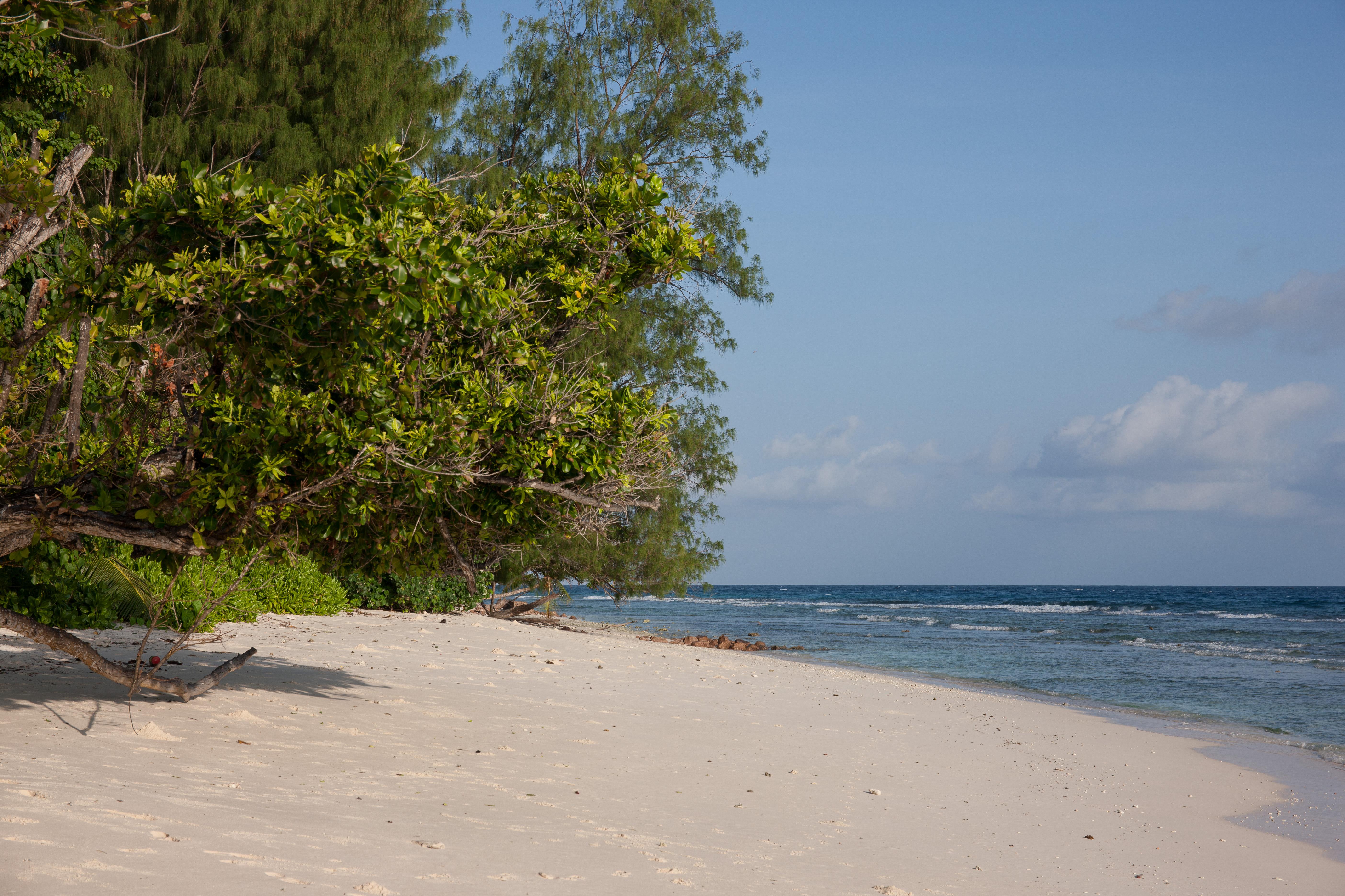 Le Relax Luxury Lodge (Adults Only) Đảo Đảo La Digue Ngoại thất bức ảnh